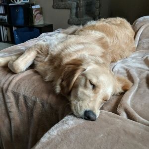 Meet your Posher, Carolyn